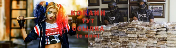прущие грибы Киренск