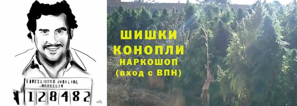 прущие грибы Киренск