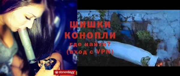 прущие грибы Киренск