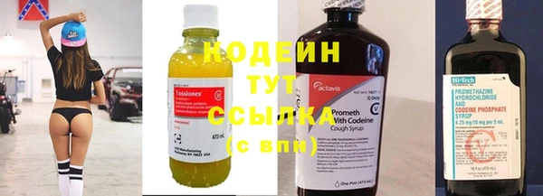 прущие грибы Киренск