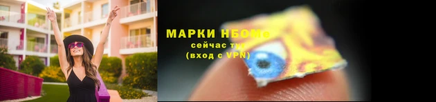 прущие грибы Киренск