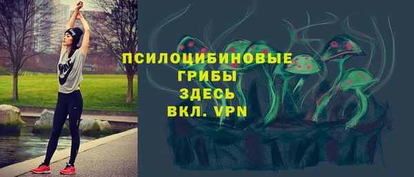 прущие грибы Киренск