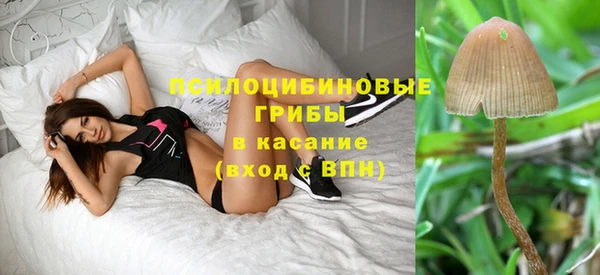 прущие грибы Киренск