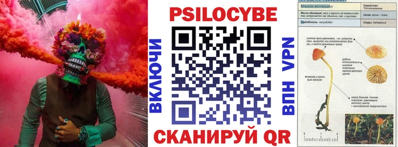 Купить закладки  Вилюйск  Галлюциногенные грибы мицелий 